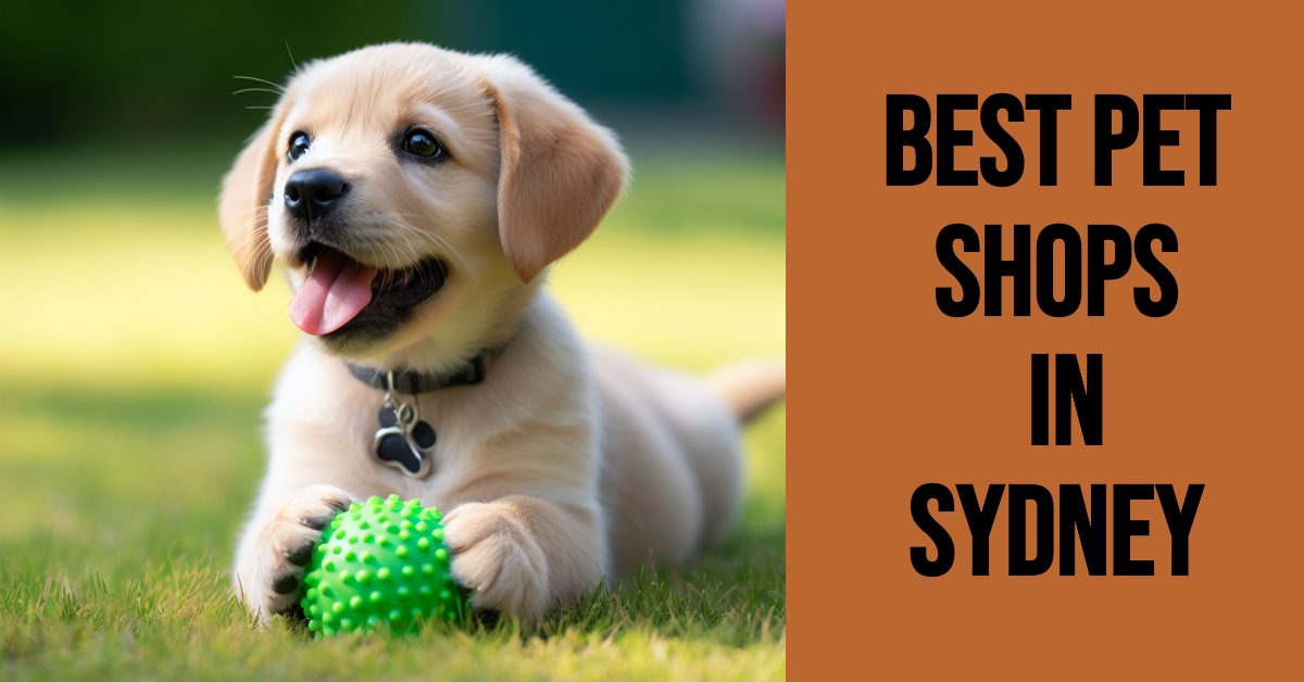 Best Pet Shops In Sydney (2026)