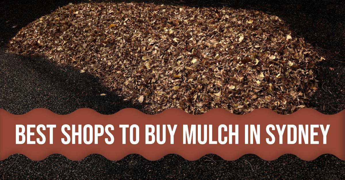 Best Shops To Buy Mulch In Sydney (2026)