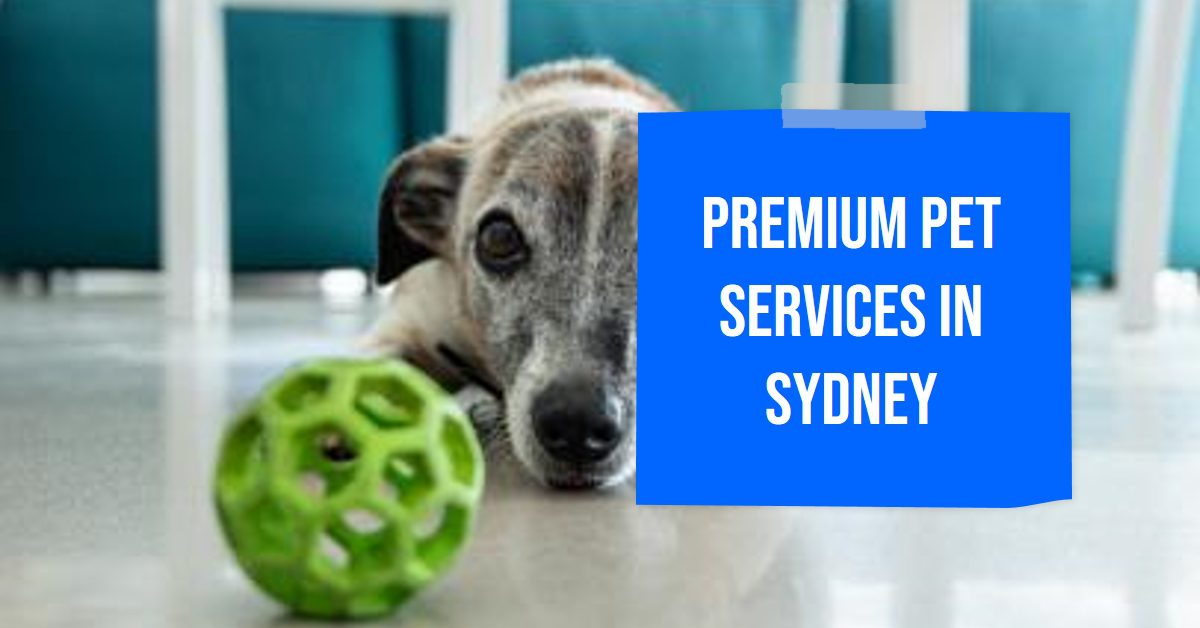 Pet Services