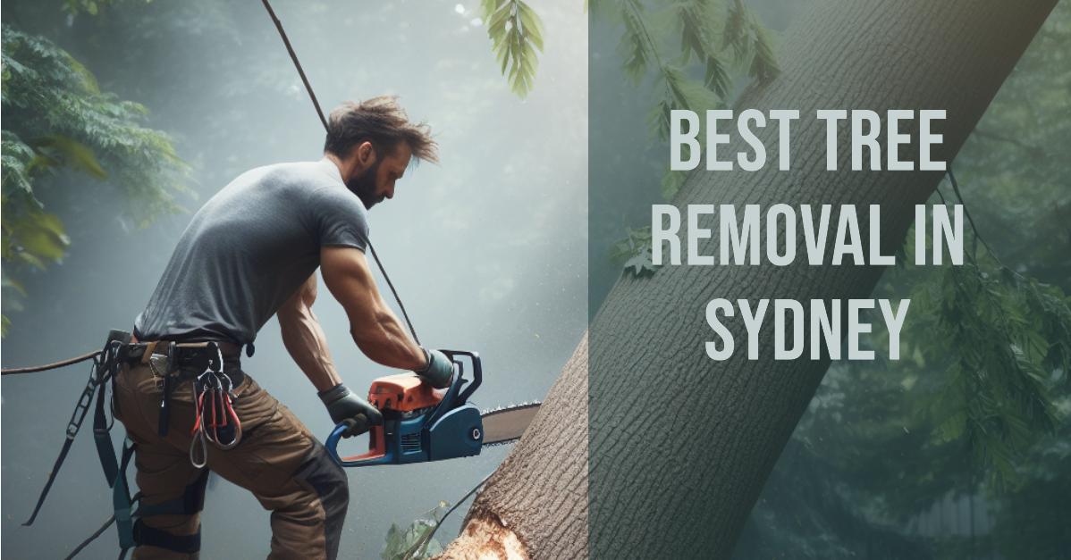 Best Tree Removal In Sydney (2026)