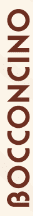 Bocconcino Mayfair logo