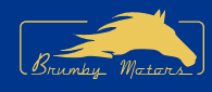 Brumby Motors – Car service in Sydney logo