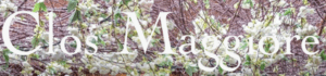 Clos Maggiore logo