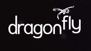 Dragonfly Digital Video Services logo