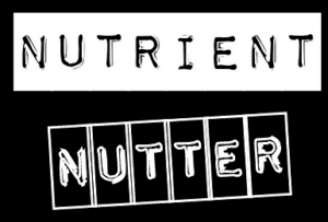 Nutritionist – Jill Lucas, Nutrient Nutter – London logo