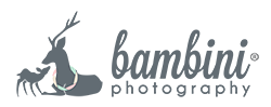 Bambini Photography logo