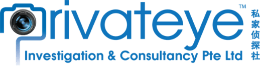 Privateye Investigation & Consultancy Pte Ltd logo