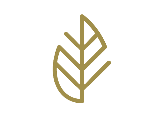 Sage Medical Clinic • Hair Transplant Singapore logo