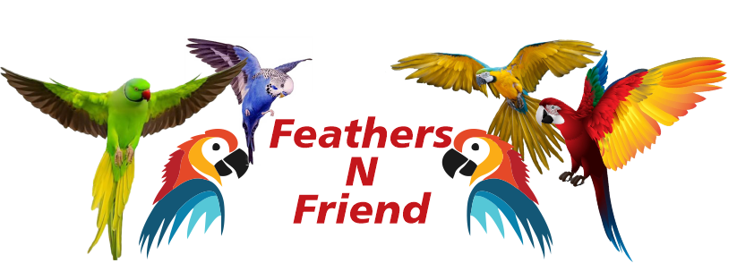Feathers And Friends Exotics logo