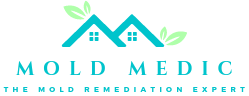 Mold Medic Pte Ltd logo