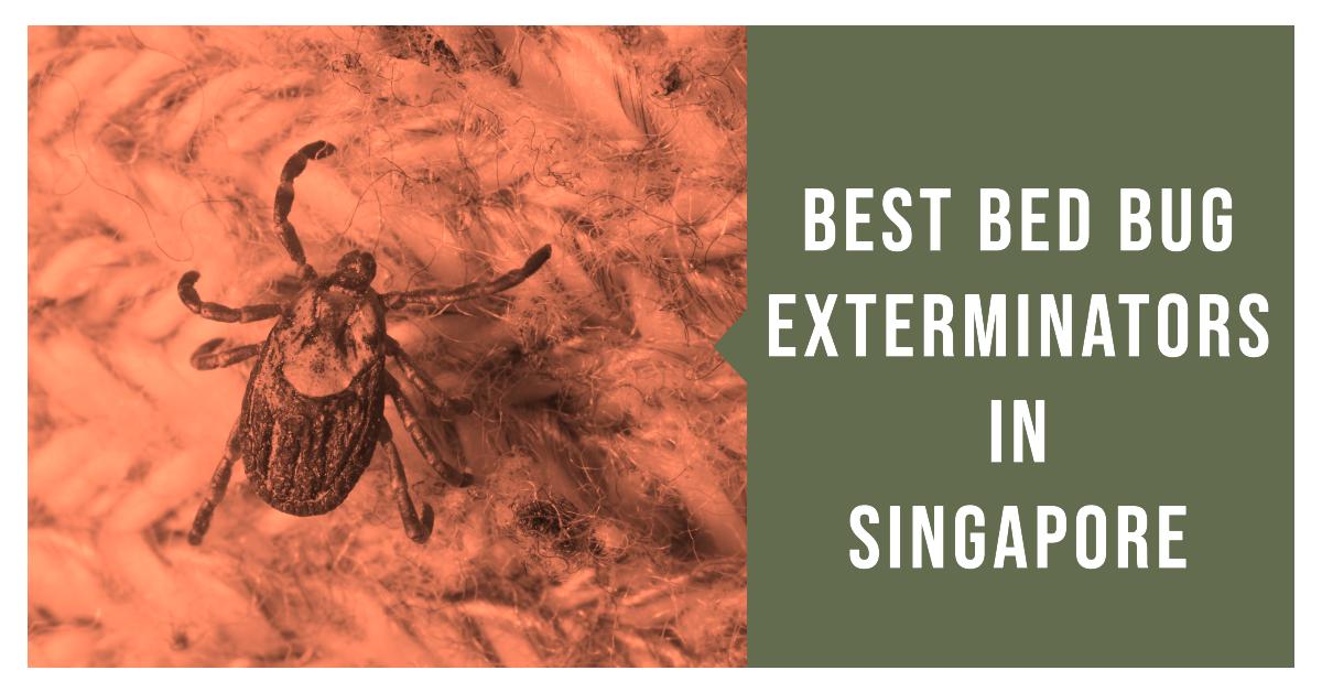 4 Best Bed Bug Exterminators In Singapore (2026)