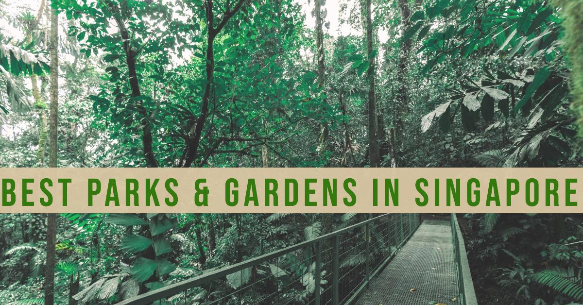 5 Best Garden Design Services In Singapore (2026)