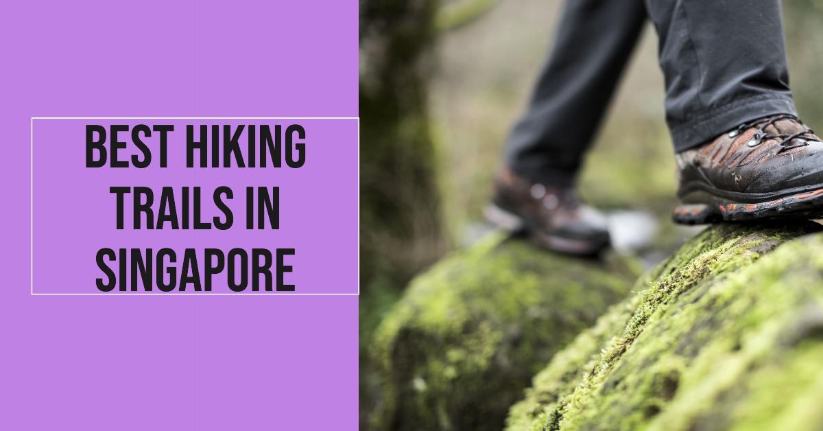Best Hiking Trails In Singapore (2026)
