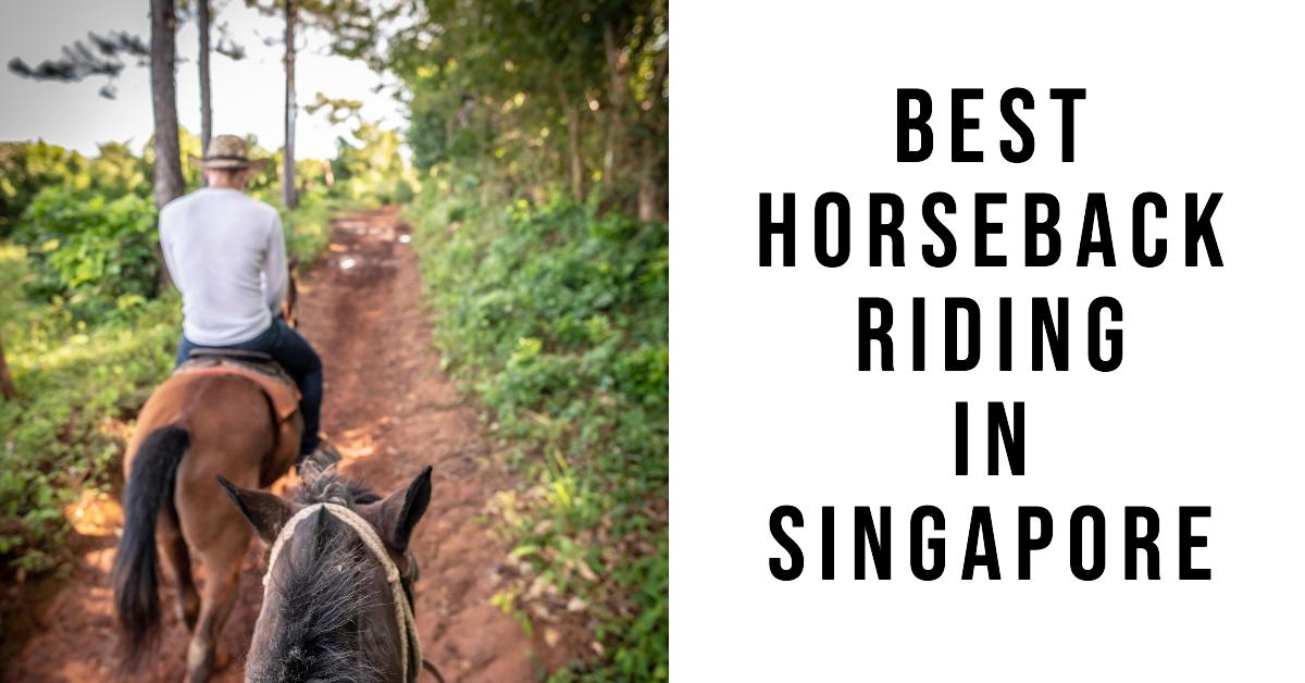 Best Horseback Riding In Singapore (2026)