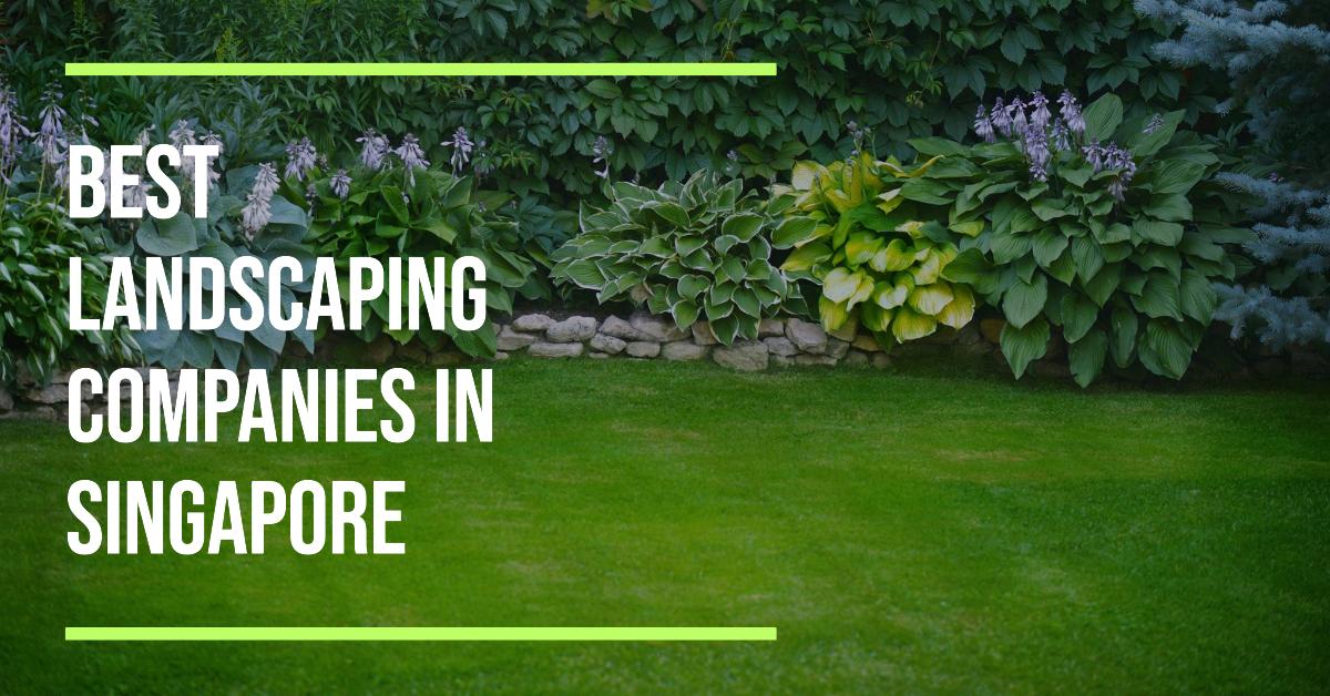 5 Best Landscaping Companies In Singapore (2026)