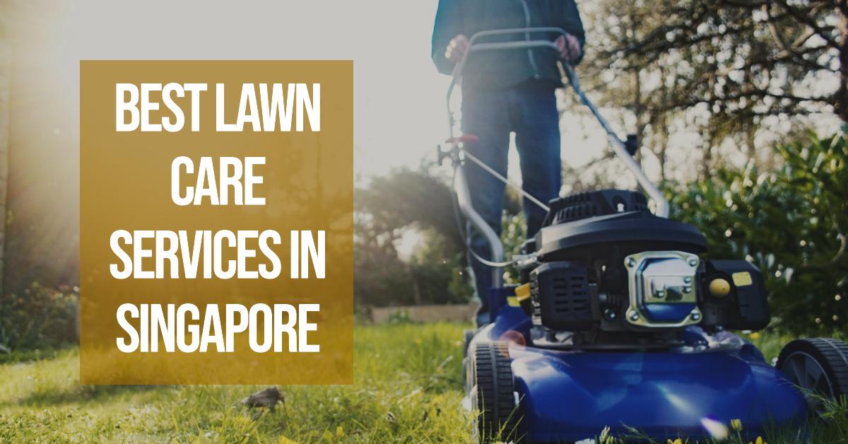 5 Best Lawn Care Services In Singapore (2026)