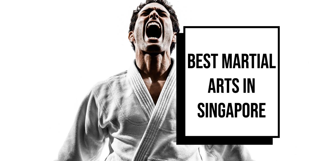 Best Martial Arts In Singapore (2026)
