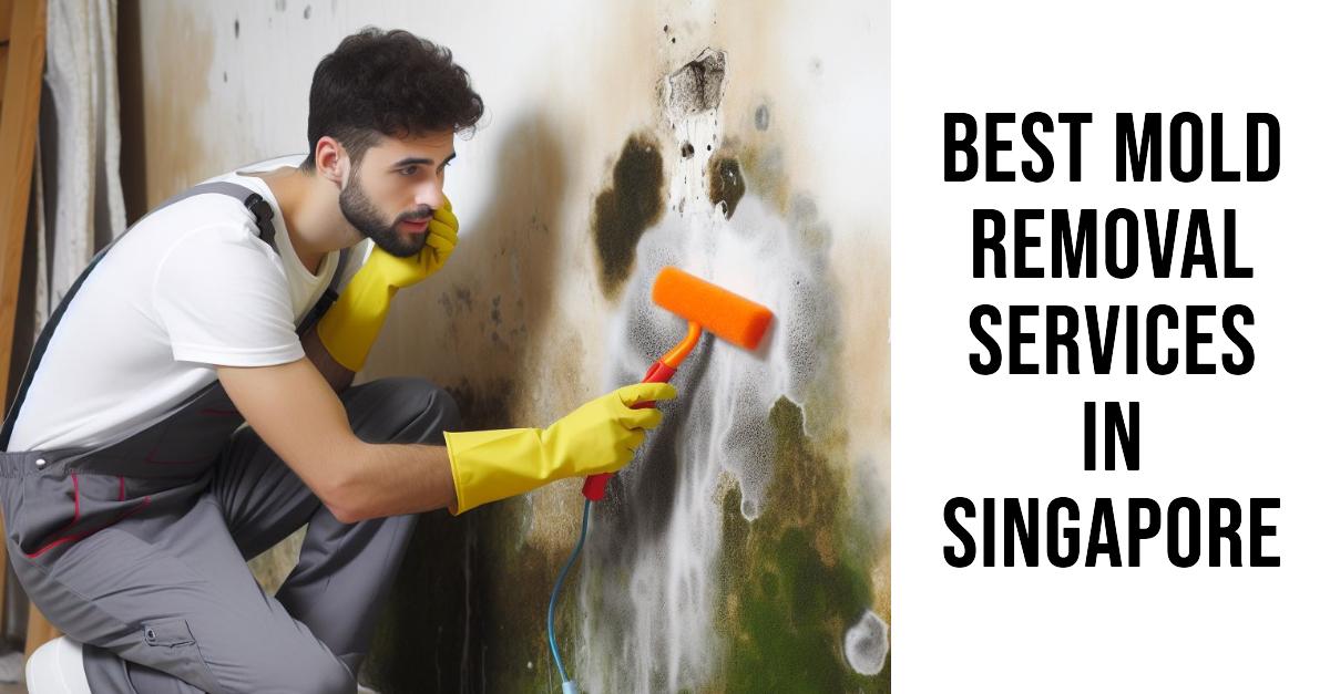 5 Best Mold Removal Services In Singapore (2026)