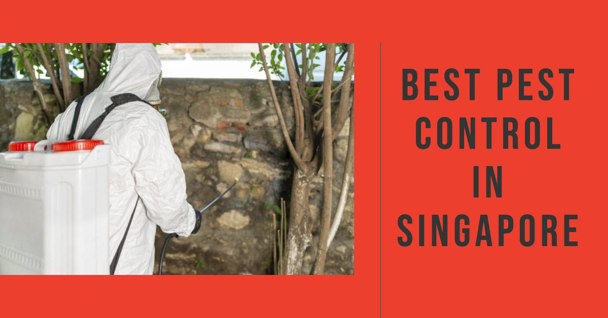 5 Best Pest Control In Singapore (2026)