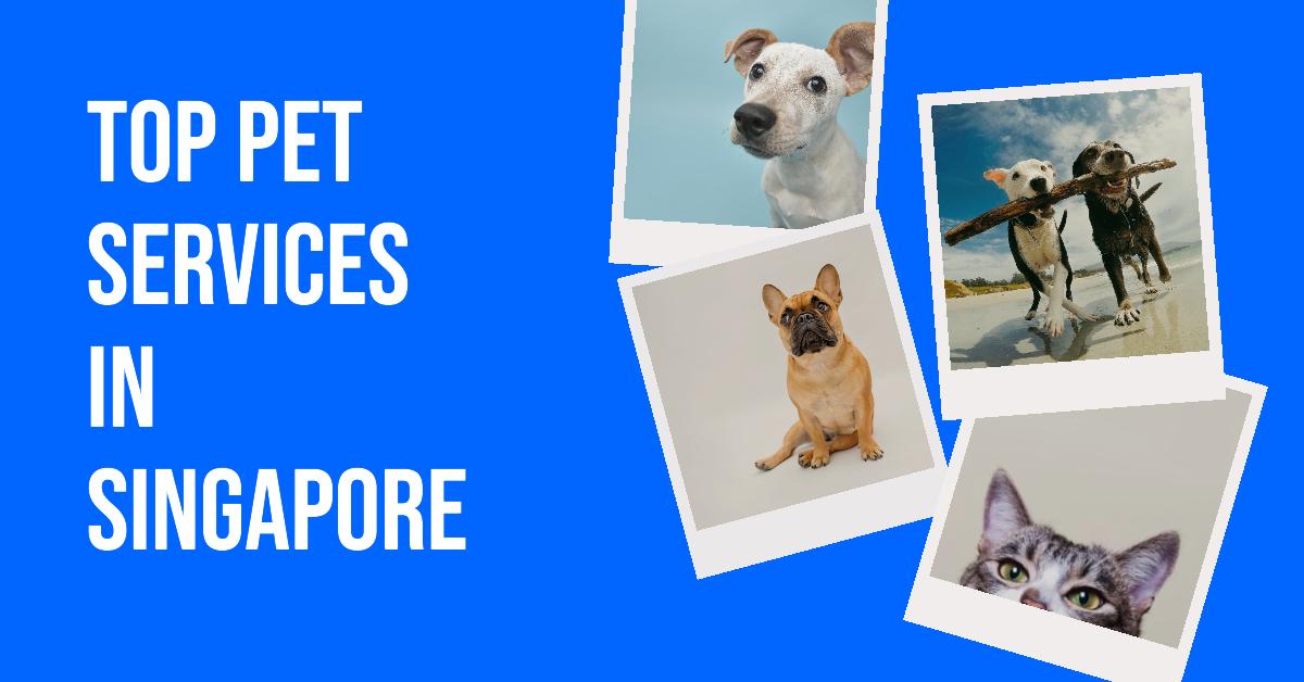 Pet Services