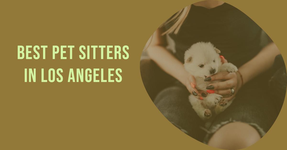 5 Best Pet Sitters In Los Angeles (2026)