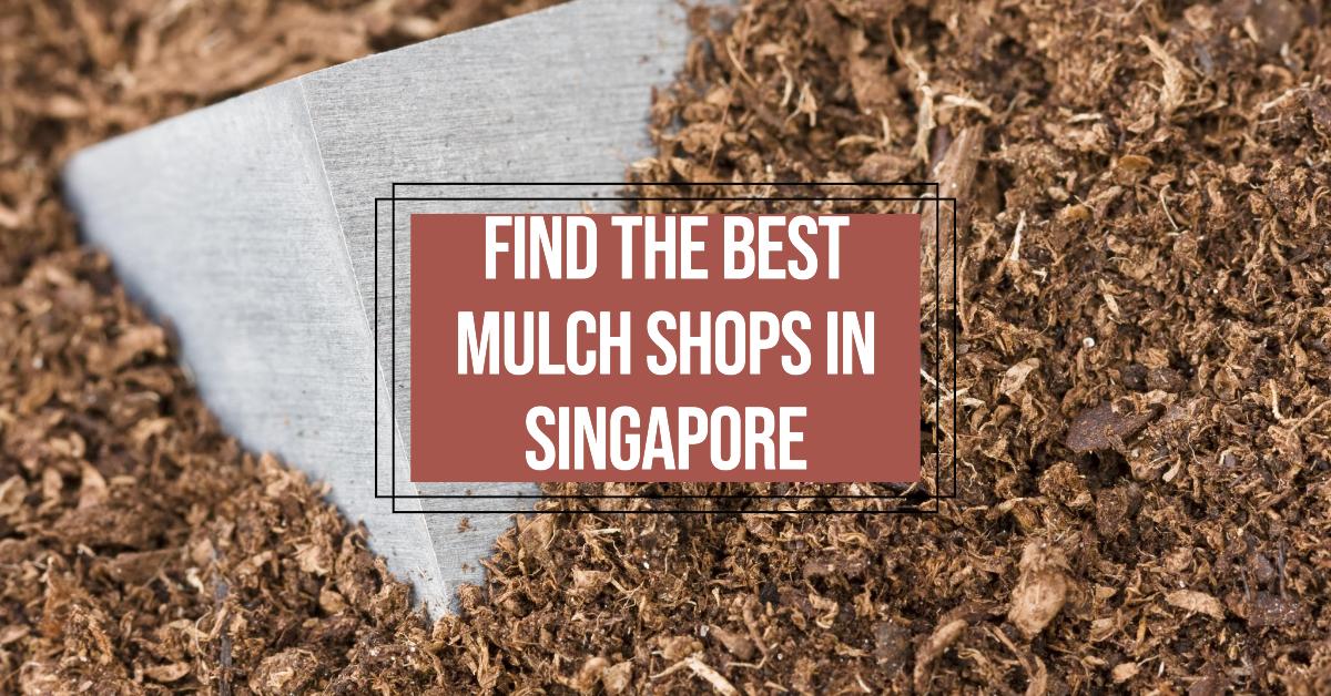 4 Best Shops To Buy Mulch In Singapore (2026)