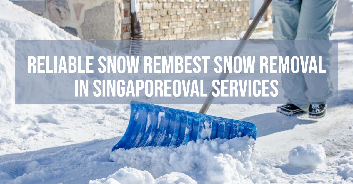 4 Best Snow Removal In Singapore (2026)