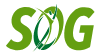 Dr Choo Wan Ling (SOG – Choo Wan Ling Clinic for Women) logo