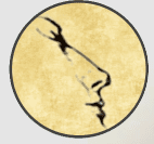 Dr Tony Kuo – Chatswood (Macquarie ENT Clinic) logo
