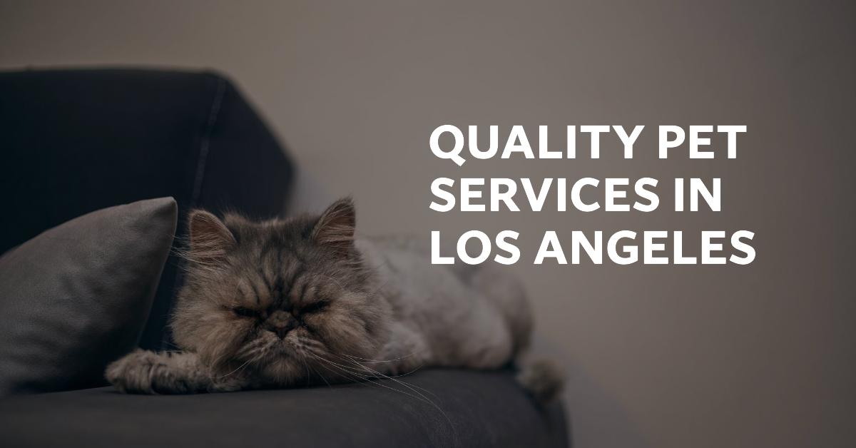 Pet Services