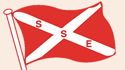 Singapore Salvage Engineers Pte Ltd logo