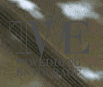 The Wedding Entourage logo