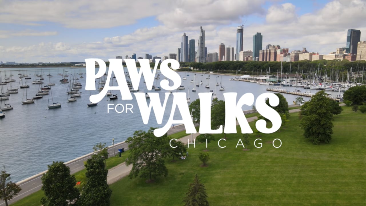 Paws For Walks Chicago LLC logo