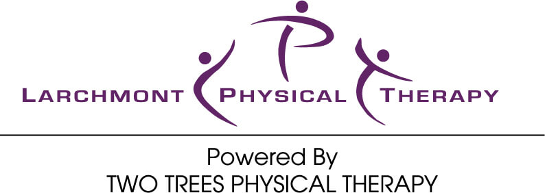 Larchmont Physical Therapy logo