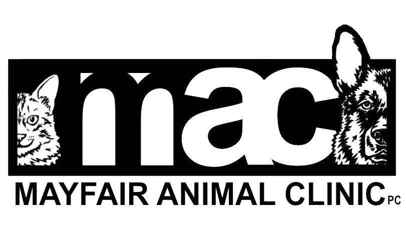 Mayfair Animal Clinic PC – Chicago, IL logo