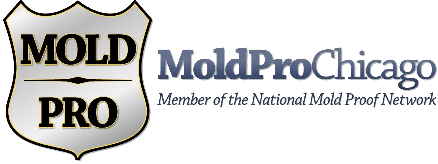 Mold Pro Chicago logo