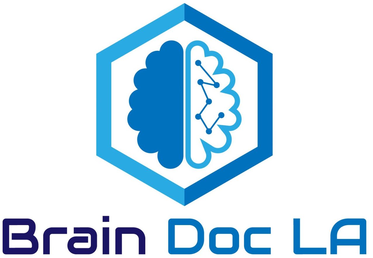 Dr. Moshe-Samuel Hendizadeh logo