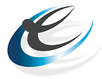 Chad Elkins, CPA logo