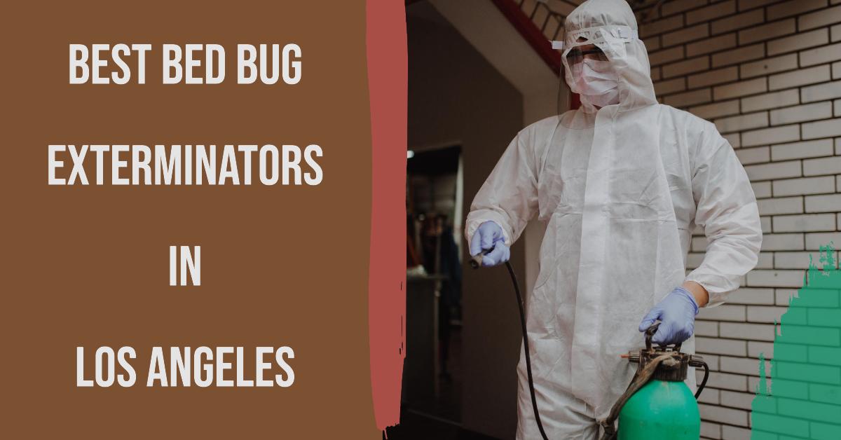 5 Best Bed Bug Exterminators In Los Angeles (2026)