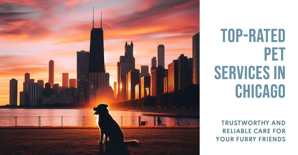 Pet Services