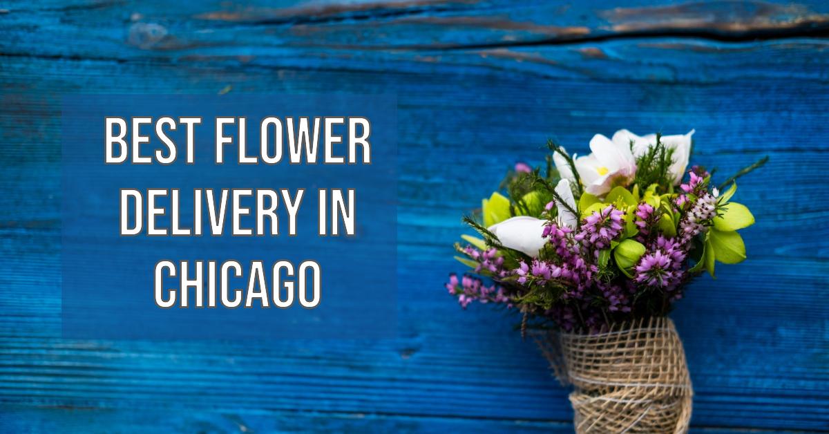 5 Best Flower Delivery In Chicago (2026)