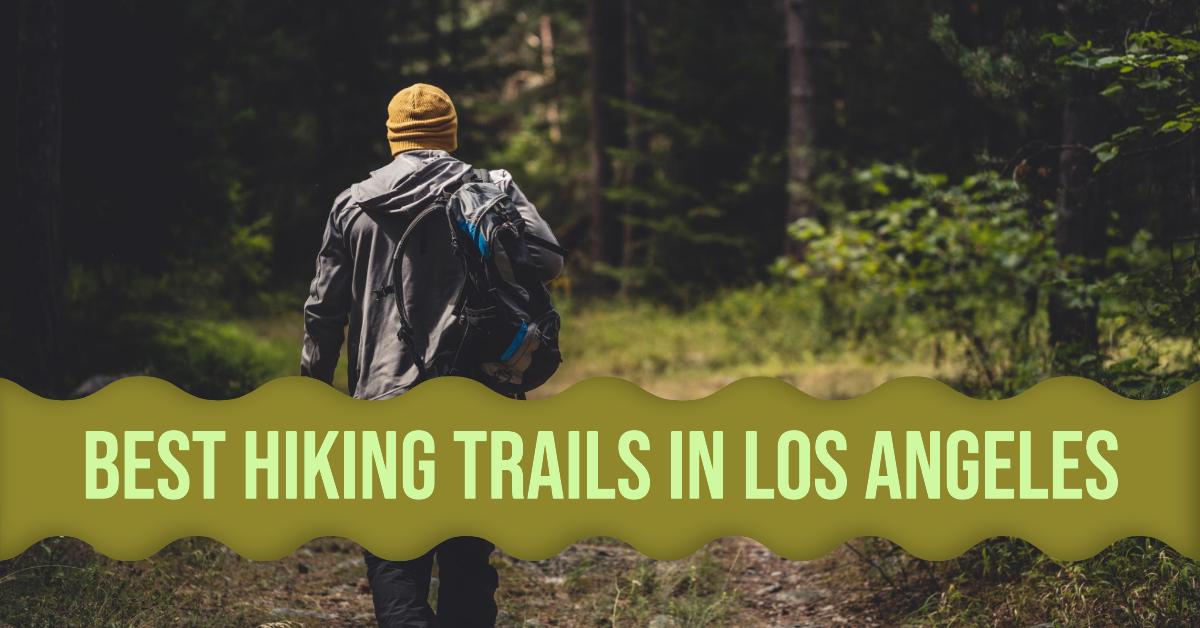 5 Best Hiking Trails In Los Angeles (2026)