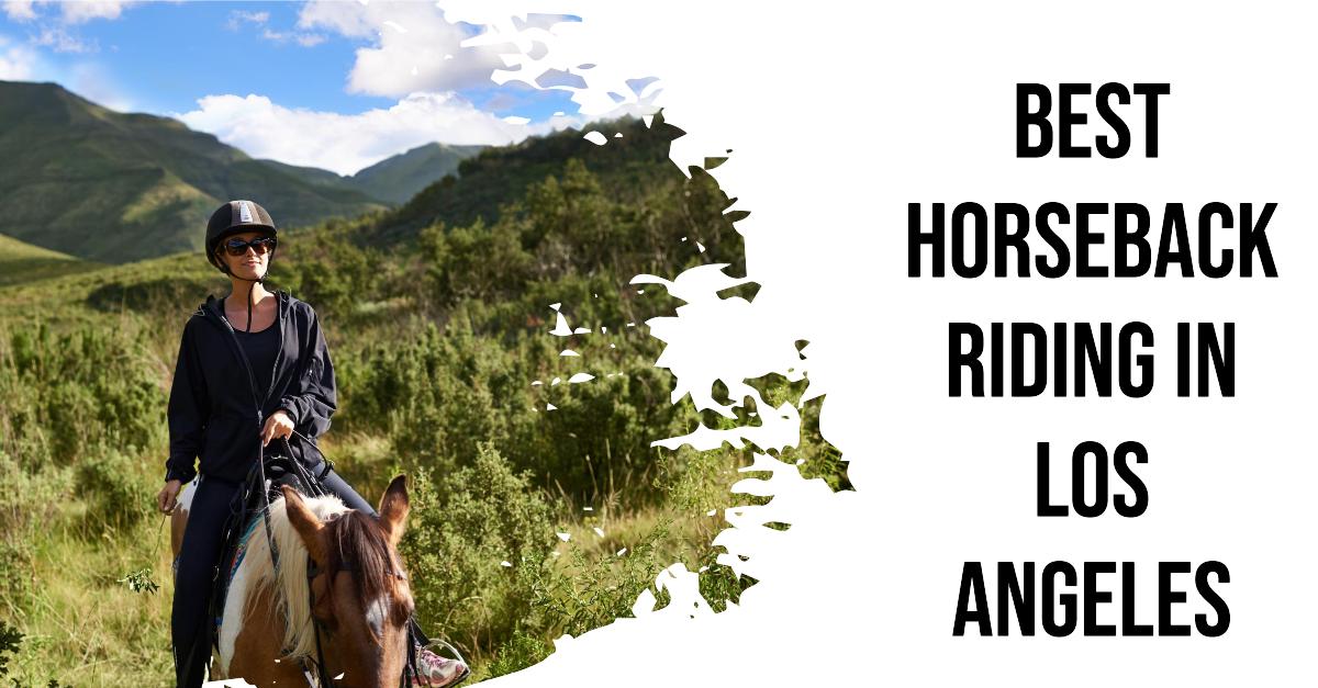 4 Best Horseback Riding In Los Angeles (2026)