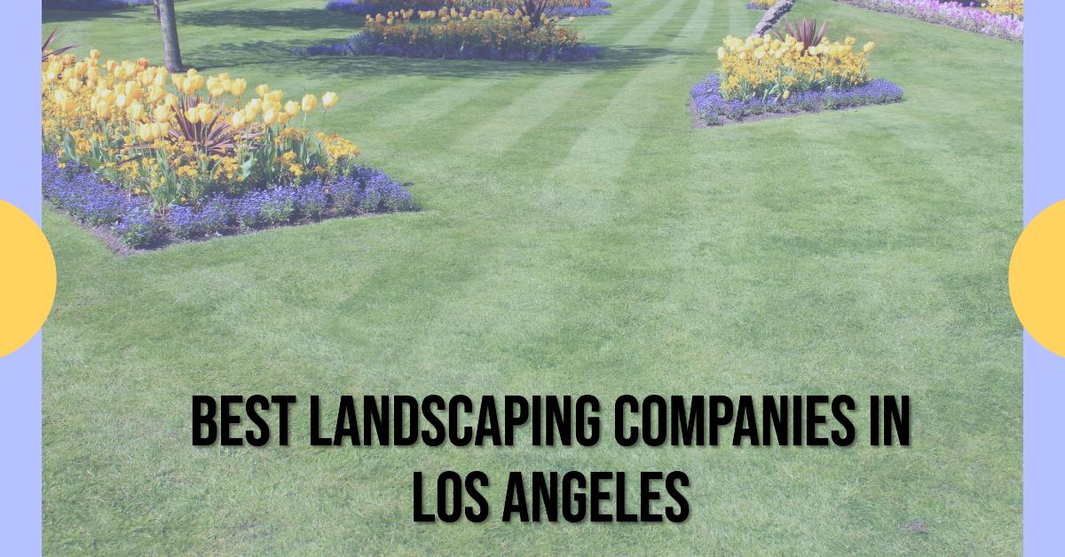 5 Best Landscaping Companies In Los Angeles (2026)