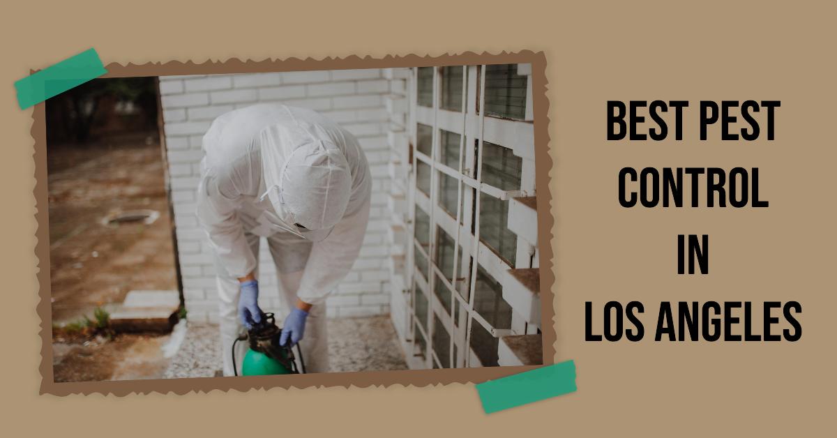 5 Best Pest Control In Los Angeles (2026)