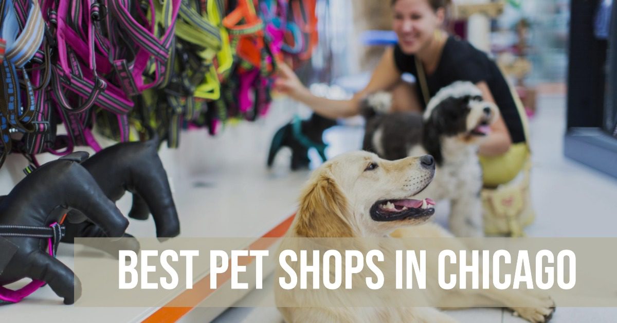 5 Best Pet Shops In Chicago (2026)