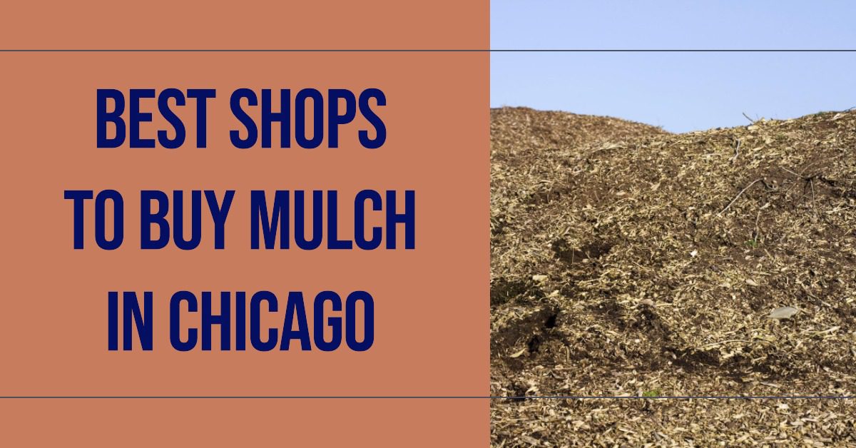 4 Best Shops To Buy Mulch In Chicago (2026)