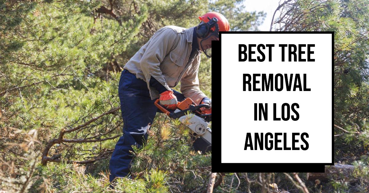 5 Best Tree Removal In Los Angeles (2026)