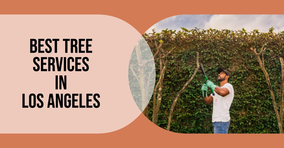 5 Best Tree Services In Los Angeles (2026)