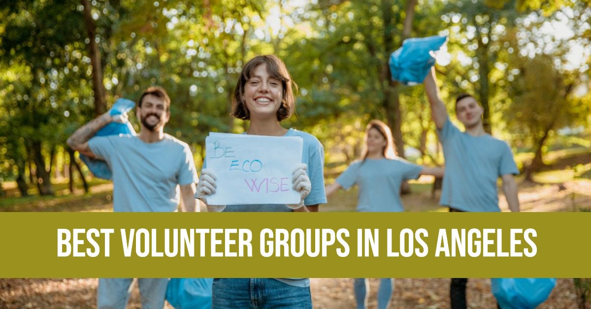 3 Best Volunteer Groups In Los Angeles (2026)